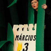 Tucsok_Hungyu a fuben.JPG